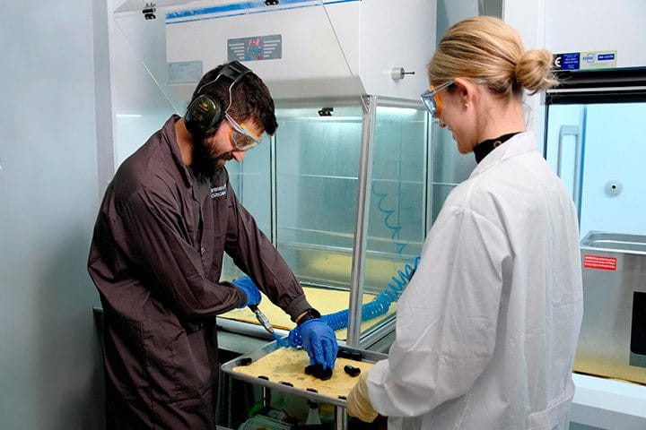 Origin-Two-Post-Processing-JPG